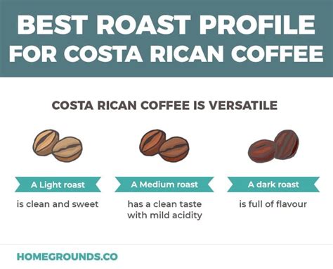 costa rican vs brazilian coffee